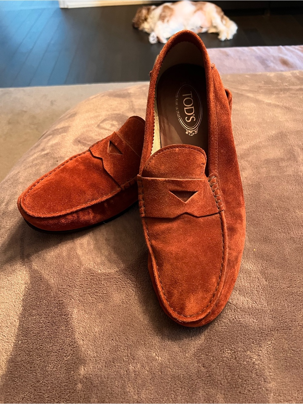 TOD'S Rust Suede Penny Loafers for Men